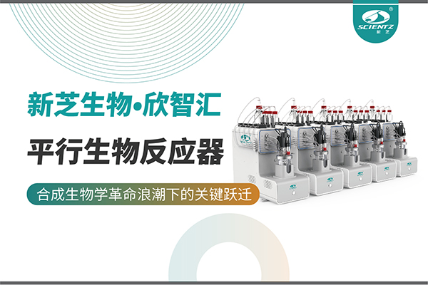 培養菌株和評估工藝參數影響太難太慢？平行生物反應器提供關鍵解決方案！